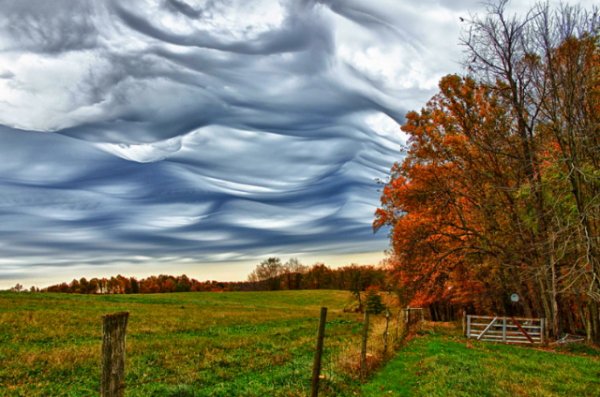 الغيوم الغامضة Asperatus